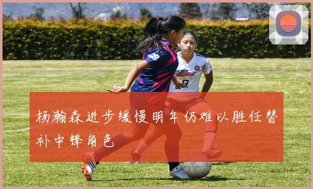 杨瀚森进步缓慢明年仍难以胜任替补中锋角色